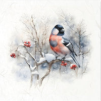 Winter Birds 5 - rice paper set