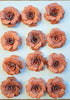 Handmade paper flowers