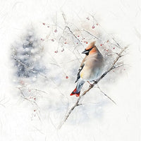 Winter Birds 5 - rice paper set