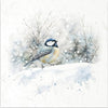 Winter Birds 4 - rice paper set