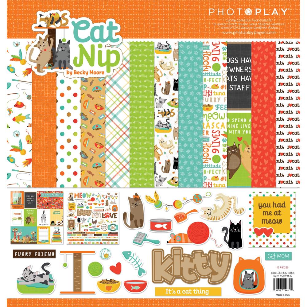 12" x 12" paper pad - Cat Nip