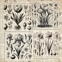 12" x 12" paper pad - Spring Botanical Story