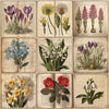 12" x 12" paper pad - Spring Botanical Story