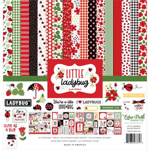 12" x 12" paper pad - Little Ladybug