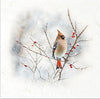 Winter Birds 5 - rice paper set