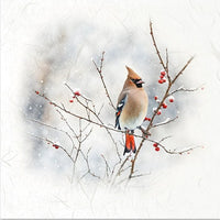 Winter Birds 5 - rice paper set