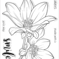 Altenew - Paint-A-Flower: Dahlia Bright Eyes - Clear Stamp Set